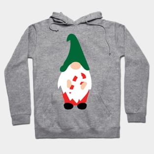 Sam the holiday gnome Hoodie